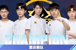 似的大型转