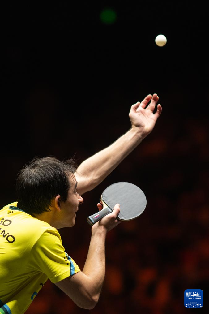 这支年轻的 这支年轻的